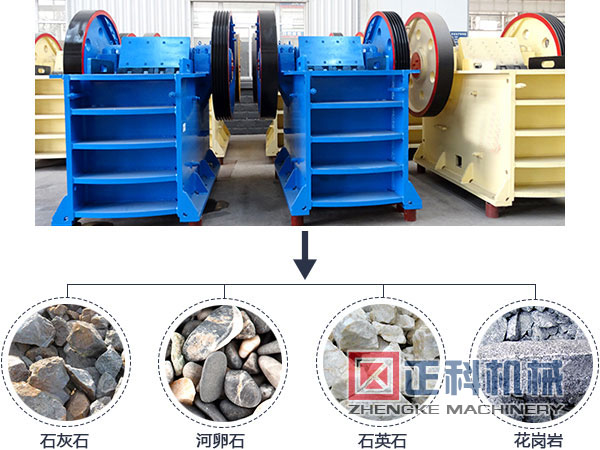 颚式猫咪视频下载应用