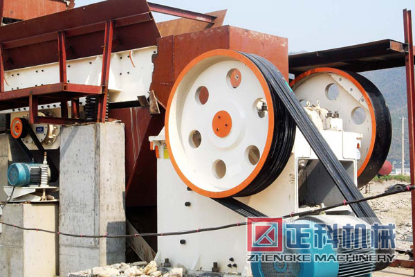 颚式猫咪视频下载