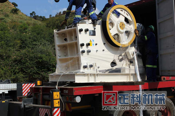 颚式猫咪视频下载