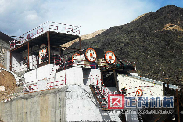 颚式猫咪视频下载现场