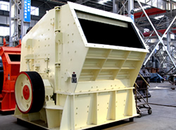 反击式猫咪视频下载