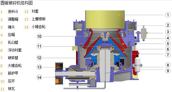 圆锥猫咪视频下载结构图